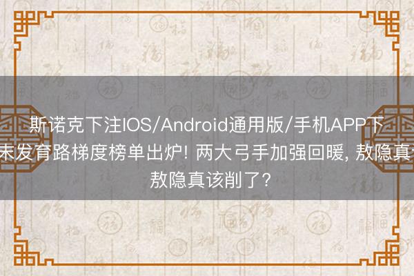 斯诺克下注IOS/Android通用版/手机APP下载 S43末发育路梯度榜单出炉! 两大弓手加强回暖, 敖隐真该削了?