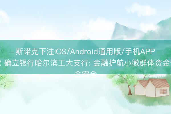 斯诺克下注IOS/Android通用版/手机APP下载 确立银行哈尔滨工大支行: 金融护航小微群体资金安全