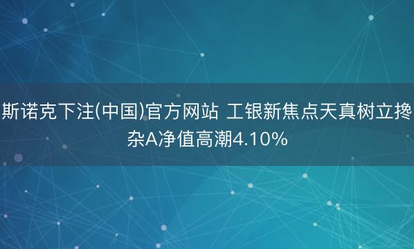 斯诺克下注(中国)官方网站 工银新焦点天真树立搀杂A净值高潮4.10%