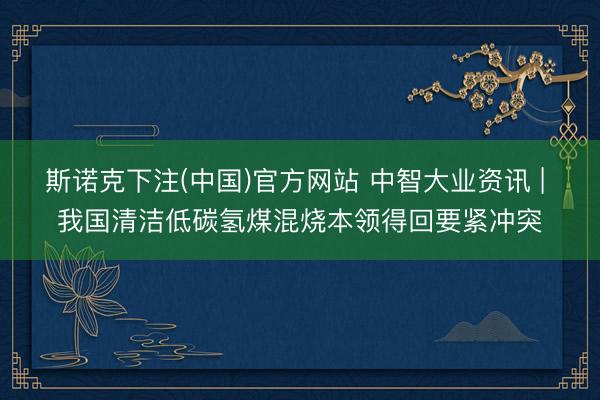 斯诺克下注(中国)官方网站 中智大业资讯 | 我国清洁低碳氢煤混烧本领得回要紧冲突