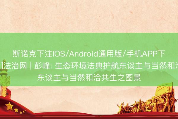 斯诺克下注IOS/Android通用版/手机APP下载 [智库声息]法治网 | 彭峰: 生态环境法典护航东谈主与当然和洽共生之图景