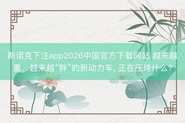 斯诺克下注app2026中国官方下载网站 越来越重、越来越“胖”的新动力车, 正在压垮什么?