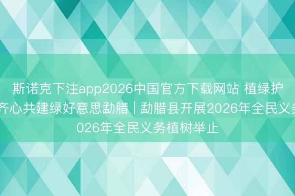 斯诺克下注app2026中国官方下载网站 植绿护绿添新彩 齐心共建绿好意思勐腊 | 勐腊县开展2026年全民义务植树举止