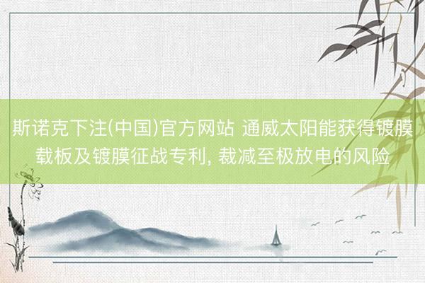 斯诺克下注(中国)官方网站 通威太阳能获得镀膜载板及镀膜征战专利, 裁减至极放电的风险
