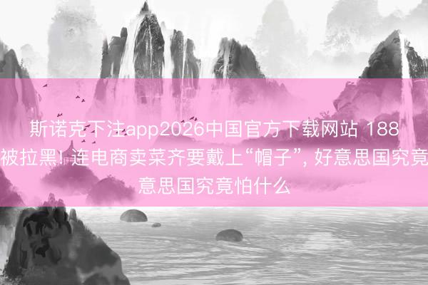 斯诺克下注app2026中国官方下载网站 188家中企被拉黑! 连电商卖菜齐要戴上“帽子”， 好意思国究竟怕什么