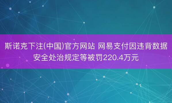 斯诺克下注(中国)官方网站 网易支付因违背数据安全处治规定等被罚220.4万元