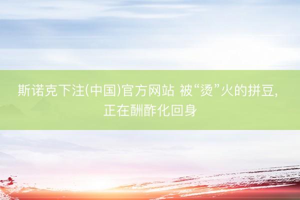 斯诺克下注(中国)官方网站 被“烫”火的拼豆， 正在酬酢化回身