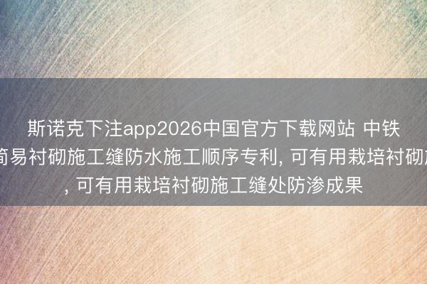 斯诺克下注app2026中国官方下载网站 中铁七局苦求3D打印简易衬砌施工缝防水施工顺序专利， 可有用栽培衬砌施工缝处防渗成果
