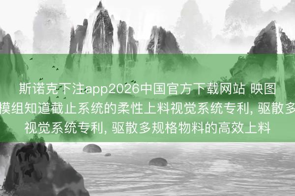 斯诺克下注app2026中国官方下载网站 映图智能请求基于XYZ多模组知道截止系统的柔性上料视觉系统专利, 驱散多规格物料的高效上料