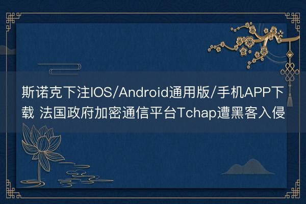 斯诺克下注IOS/Android通用版/手机APP下载 法国政府加密通信平台Tchap遭黑客入侵