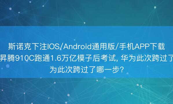 斯诺克下注IOS/Android通用版/手机APP下载 1000颗昇腾910C跑通1.6万亿模子后考试, 华为此次跨过了哪一步?