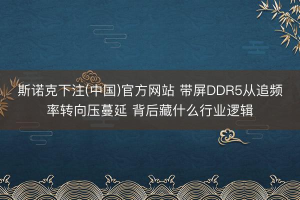 斯诺克下注(中国)官方网站 带屏DDR5从追频率转向压蔓延 背后藏什么行业逻辑