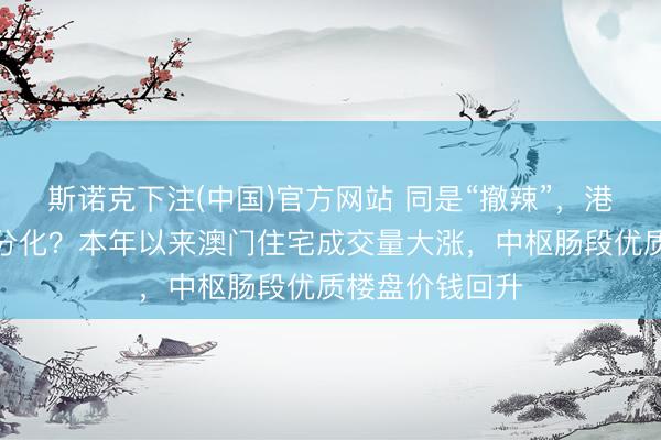 斯诺克下注(中国)官方网站 同是“撤辣”，港澳楼市却走势分化？本年以来澳门住宅成交量大涨，中枢肠段优质楼盘价钱回升