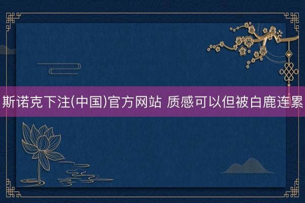 斯诺克下注(中国)官方网站 质感可以但被白鹿连累