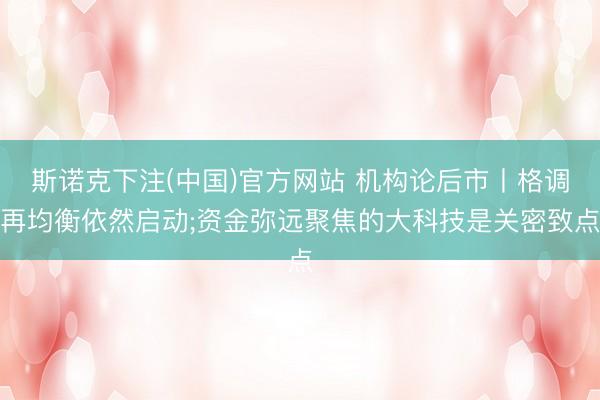 斯诺克下注(中国)官方网站 机构论后市丨格调再均衡依然启动;资金弥远聚焦的大科技是关密致点