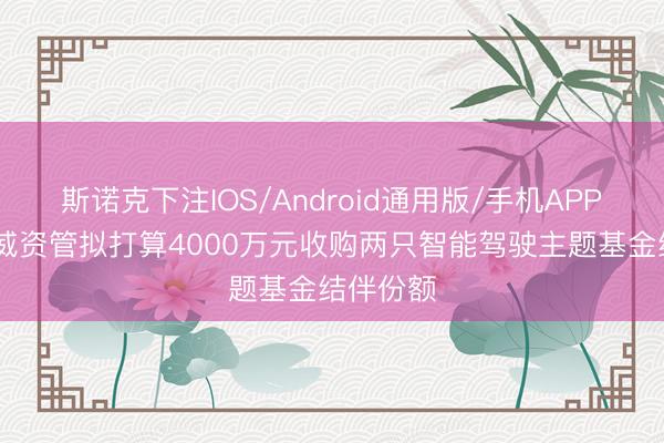斯诺克下注IOS/Android通用版/手机APP下载 瑞威资管拟打算4000万元收购两只智能驾驶主题基金结伴份额