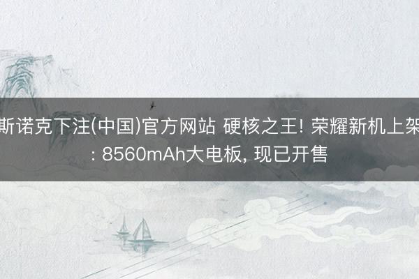 斯诺克下注(中国)官方网站 硬核之王! 荣耀新机上架: 8560mAh大电板， 现已开售
