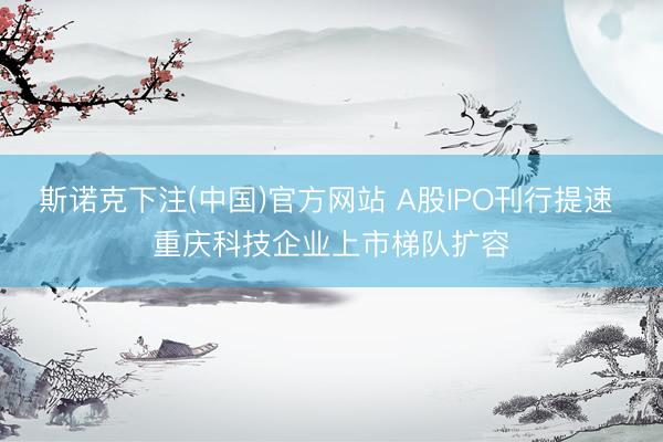 斯诺克下注(中国)官方网站 A股IPO刊行提速 重庆科技企业上市梯队扩容